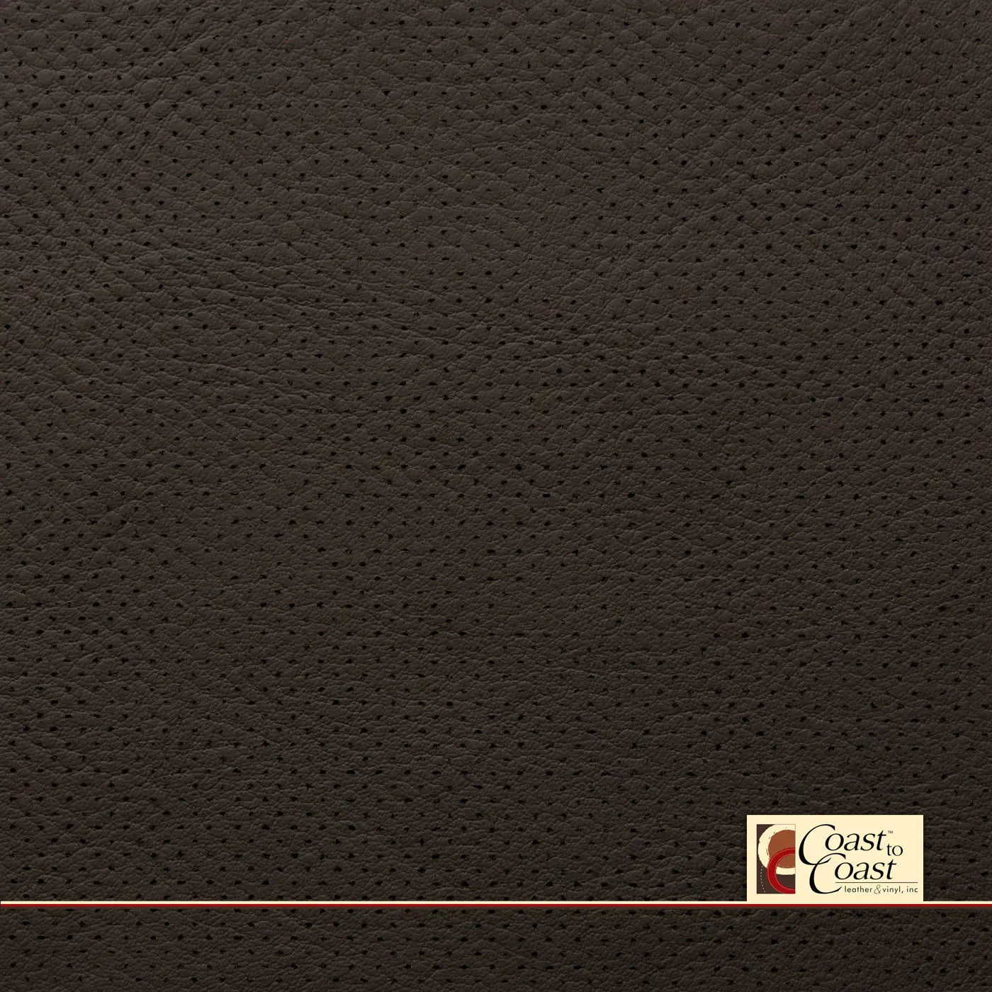 Ford Mesa Antique Effect Full Hide / Gm Mirco Perf (1/16In) Leather